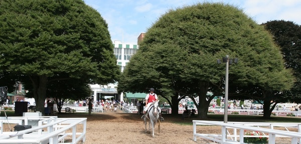 Monmouth Park Paddock