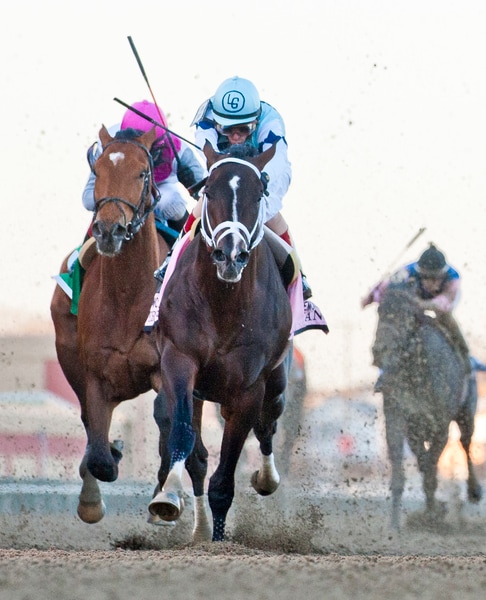 Wood Memorial Stakes