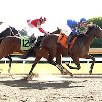 #7 David of Athens beats #12 Camp Hale at Keeneland.