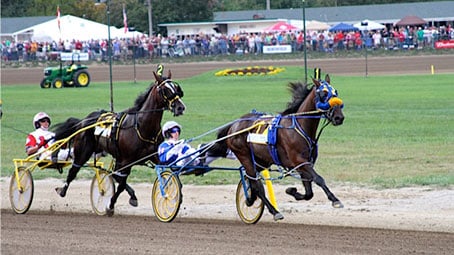 Little Brown Jug Harness racing preview
