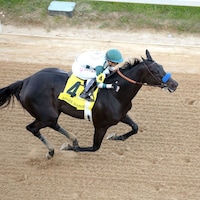 Adare Manor wins the Apple Blossom H. (G1) at Oaklawn Park