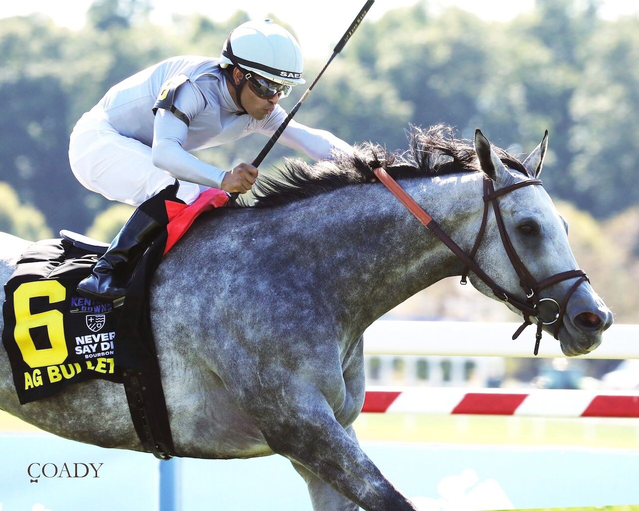 AG Bullet wins the Never Say Die Ladies Turf Sprint Stakes at Kentucky Downs.