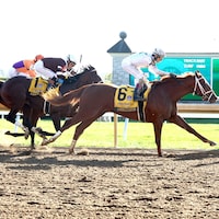 American History wins the Breeders' Futurity (G1) at Keeneland.