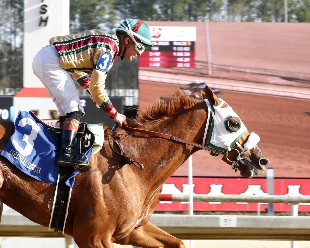 American Promise winning the Virginia Derby at Colonial Downs (Photo by Coady Media)