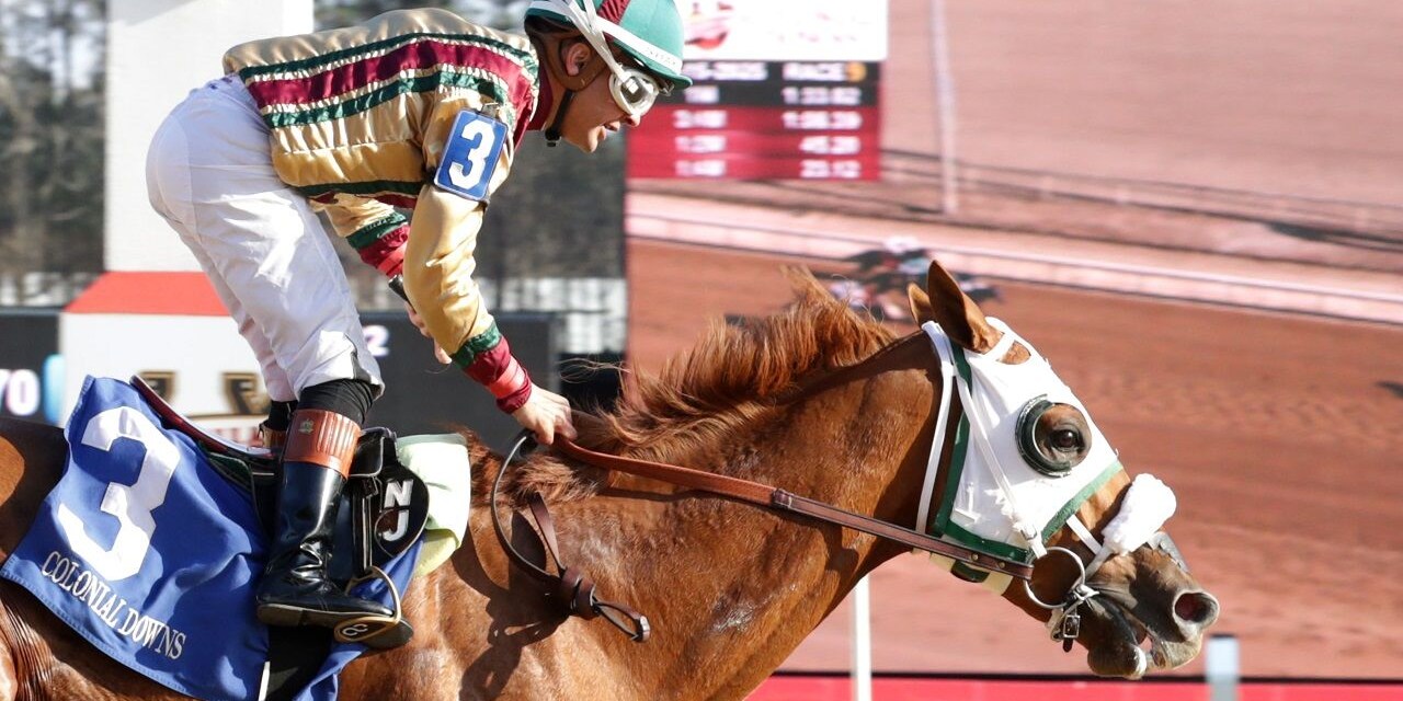 American Promise winning the Virginia Derby at Colonial Downs (Photo by Coady Media)