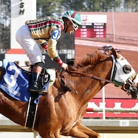 American Promise winning the Virginia Derby at Colonial Downs (Photo by Coady Media)