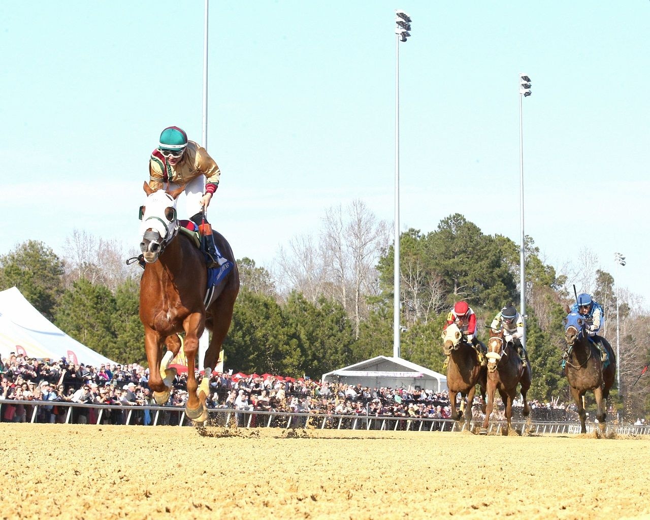American Promise winning the Virginia Derby at Colonial Downs (Photo by Coady Media)