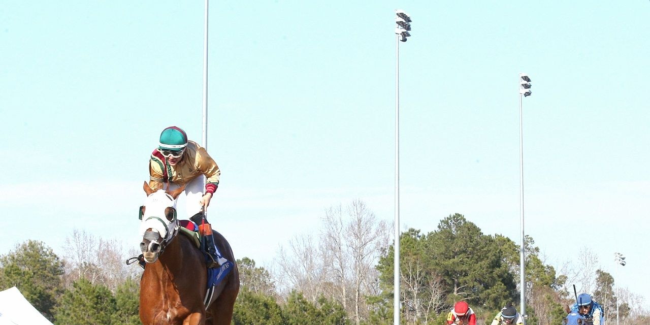 American Promise winning the Virginia Derby at Colonial Downs (Photo by Coady Media)