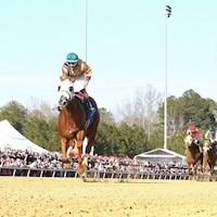 American Promise winning the Virginia Derby at Colonial Downs (Photo by Coady Media)