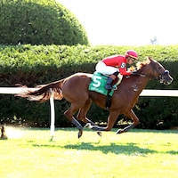 Ayra Stark wins at Keeneland.