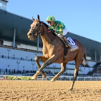 Chancer McPatrick winning the Champagne (G1) at Aqueduct (Photo by Coglianese Photos)