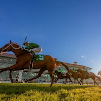Accomplished Girl wins the Pan Zareta Stakes at Fair Grounds.