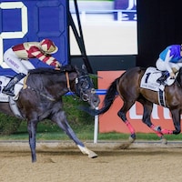 Admire Daytona winning the UAE Derby (G2) at Meydan in Dubai