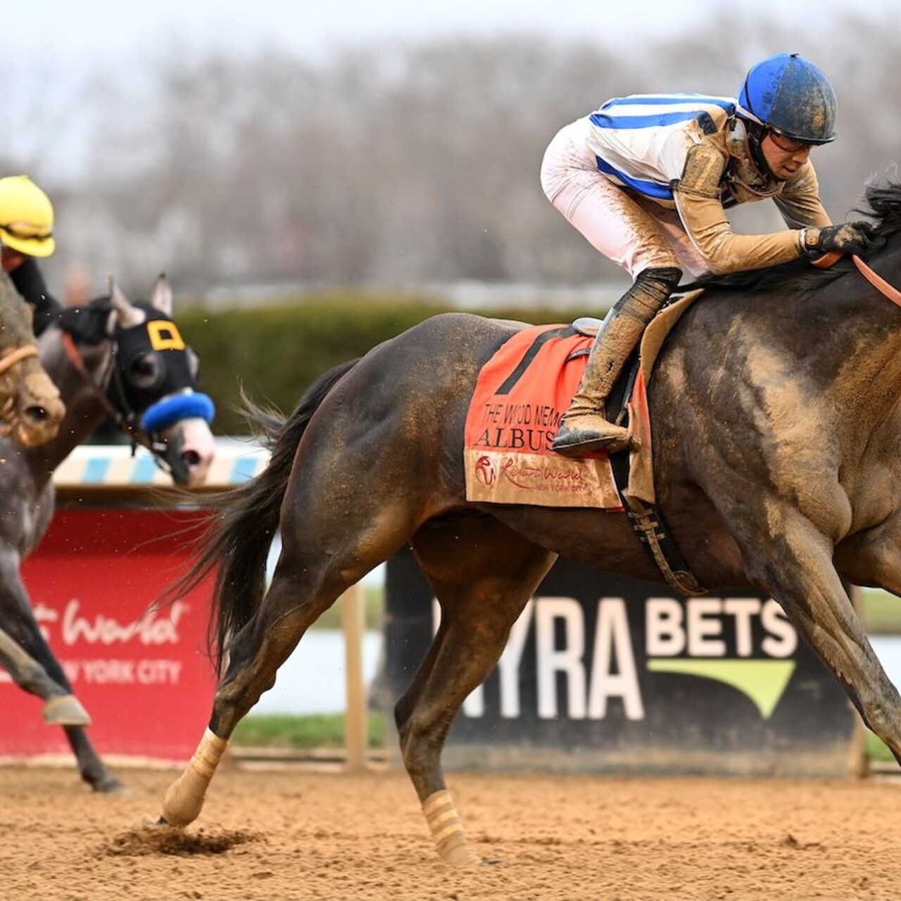 Albus wins the Wood Memorial at Aqueduct.