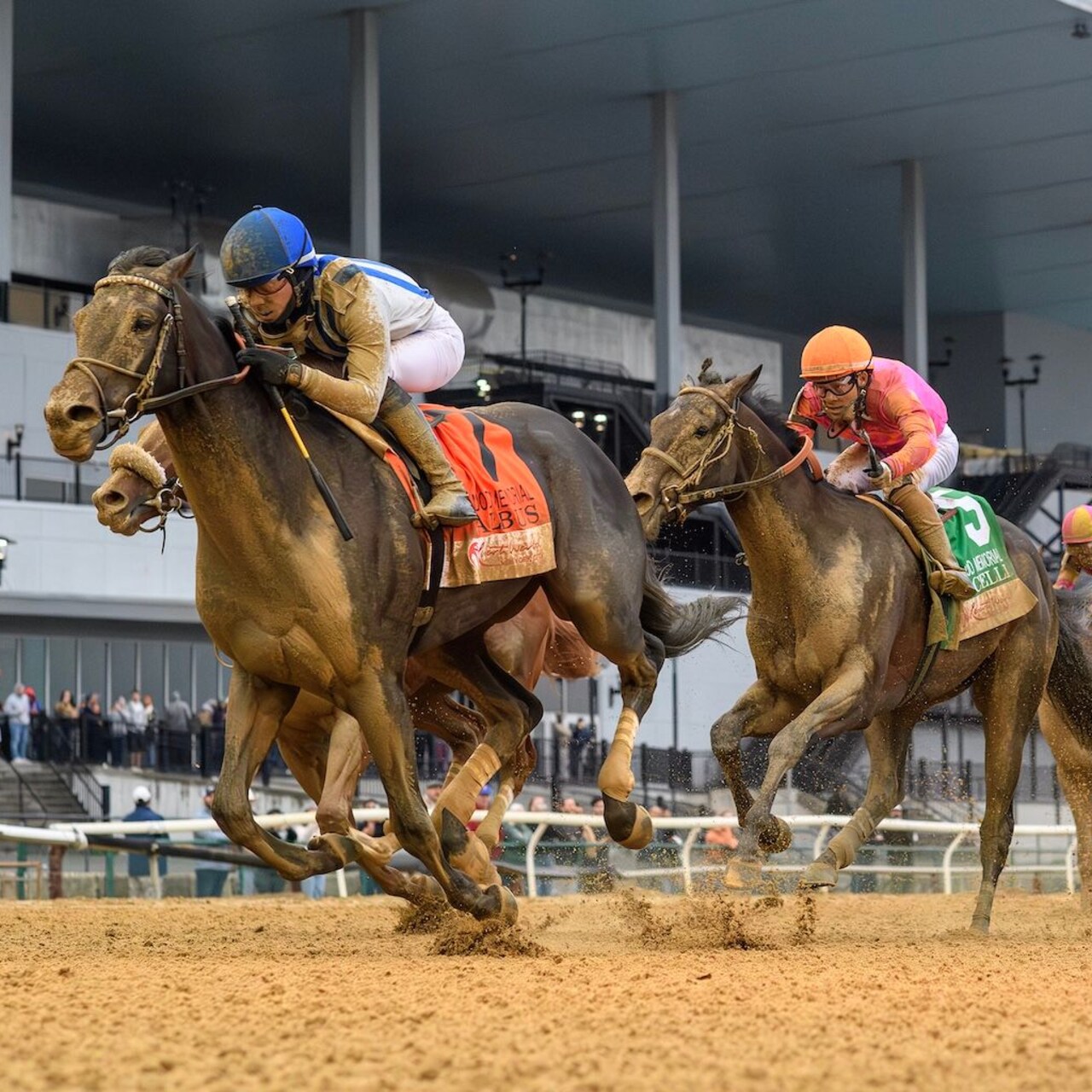 Albus wins the Wood Memorial at Aqueduct.