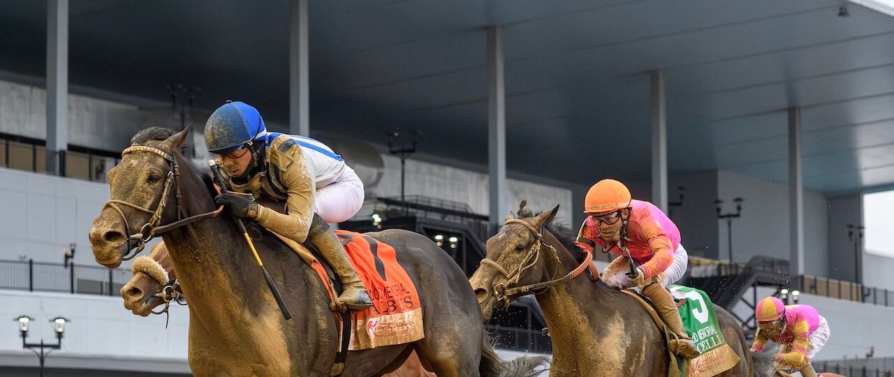 Albus wins the Wood Memorial at Aqueduct.