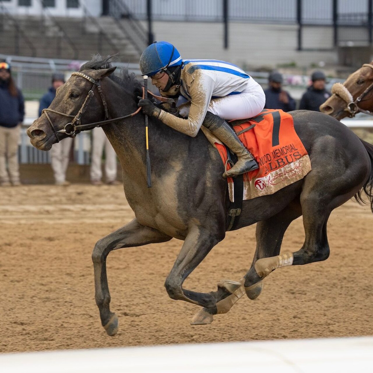 Albus wins the Wood Memorial at Aqueduct.