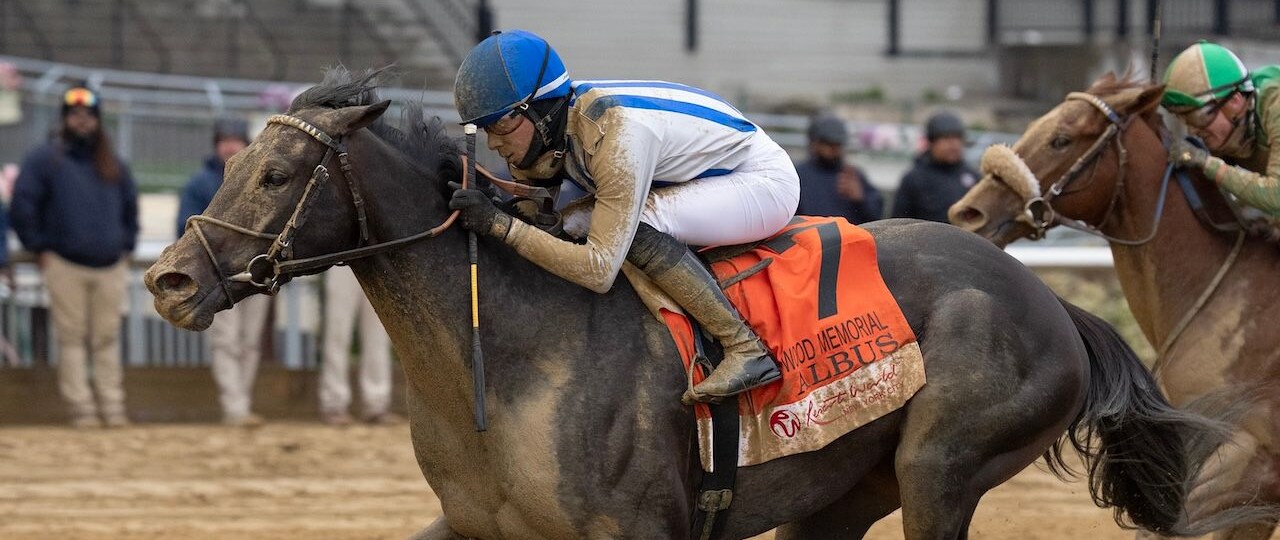Albus wins the Wood Memorial at Aqueduct.