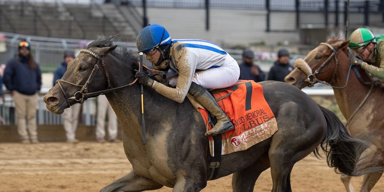 Albus wins the Wood Memorial at Aqueduct.