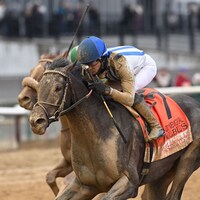 Albus wins the Wood Memorial at Aqueduct.