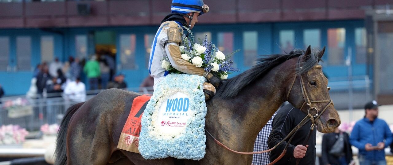 Albus wins the Wood Memorial at Aqueduct.