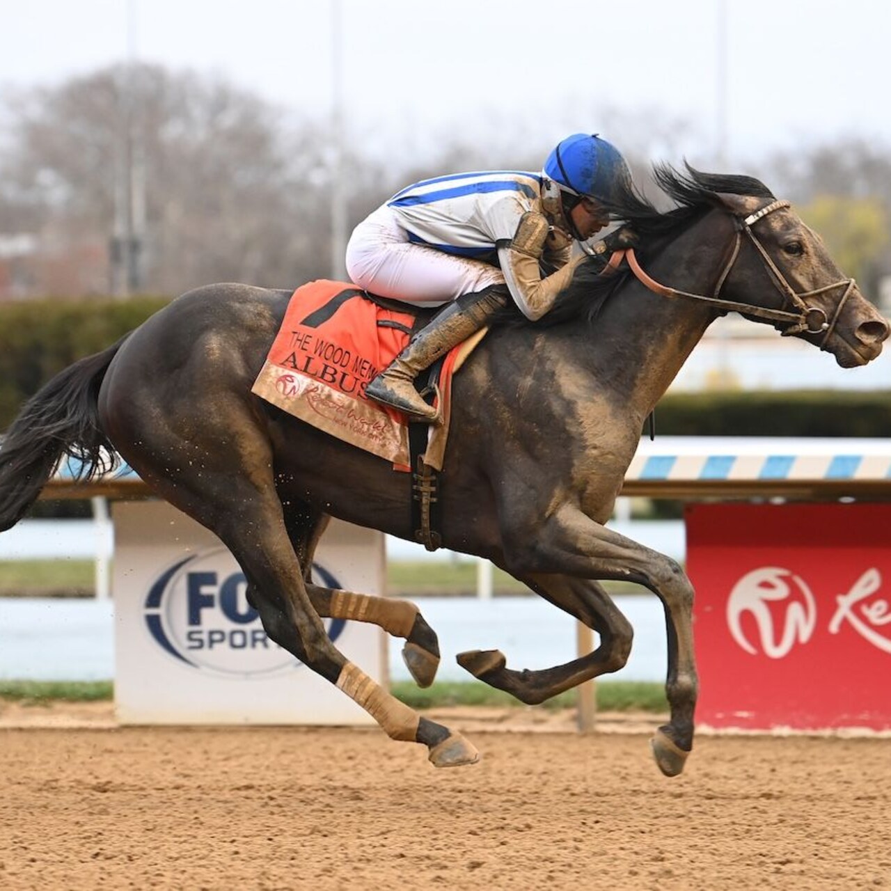Albus wins the Wood Memorial at Aqueduct.