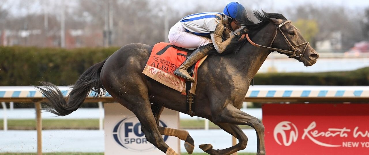 Albus wins the Wood Memorial at Aqueduct.