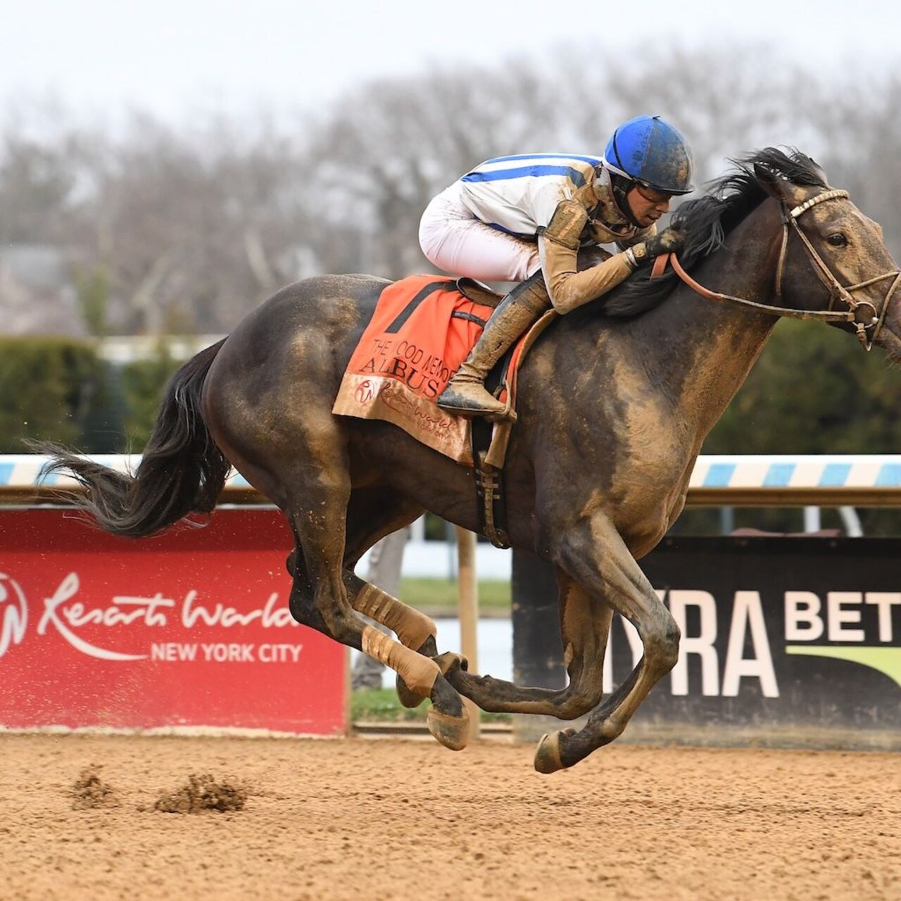 Albus wins the Wood Memorial at Aqueduct.