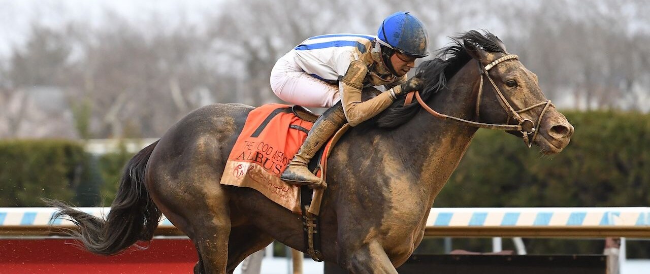 Albus wins the Wood Memorial at Aqueduct.