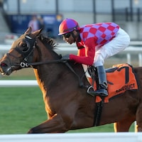 Alluring Angel wins the Long Island Stakes at Aqueduct.