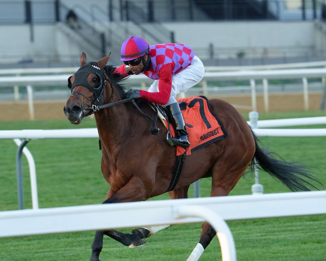 Alluring Angel wins the Long Island Stakes at Aqueduct.