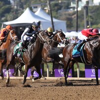 Del Mar Scenic
