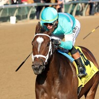 Alpine Princess wins the Falls City (G3)