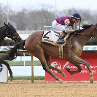 Always a Runner wins the Gazelle at Aqueduct.