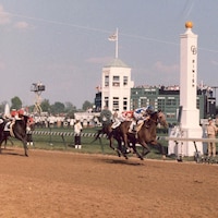 Alysheba wins the 1987 Kentucky Derby