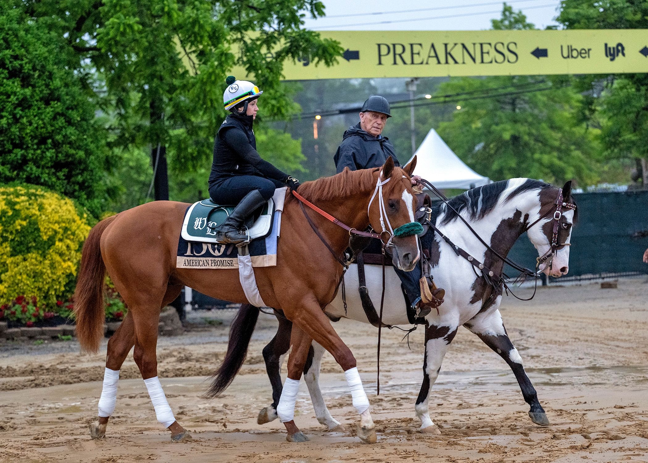 American Promise trains at Pimlico 2025 (Photo by MJC/Jerry Dzierwinski)