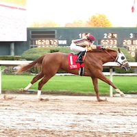 American Promise breaks his maiden at Oaklawn Park