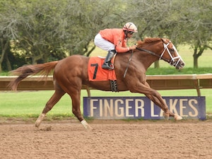 Racing at Finger Lakes