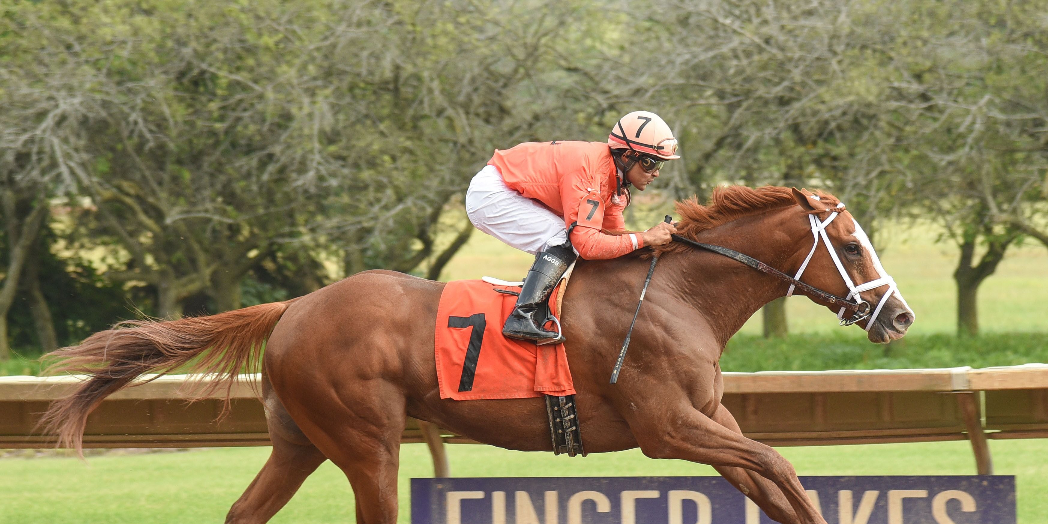Racing at Finger Lakes