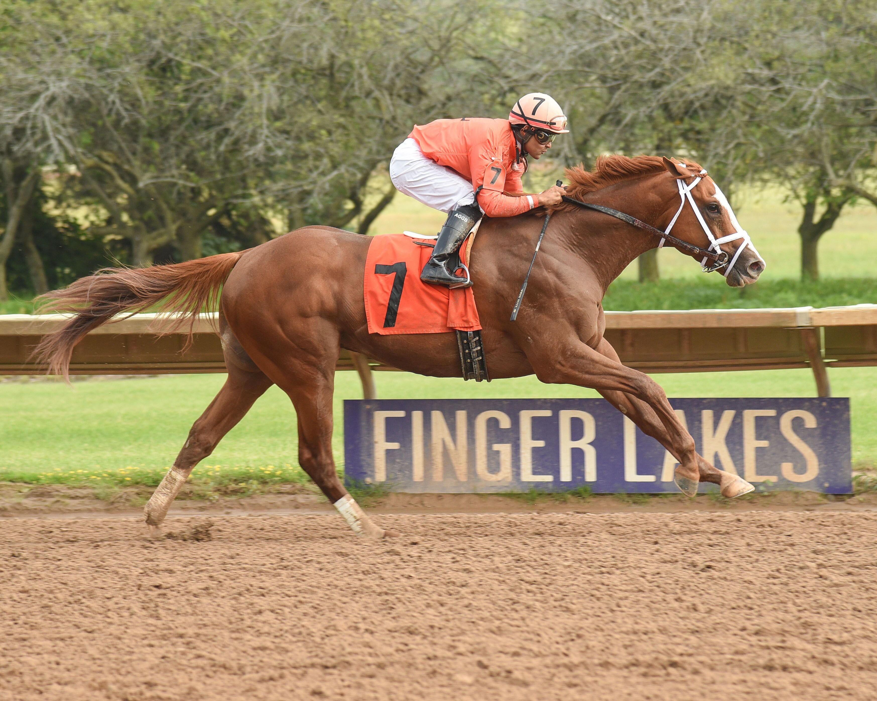 Finger Lakes racing scene