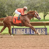 Finger Lakes racing scene