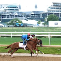 Anna's Promise at Churchill Downs (Photo by Coady Media/Renee Torbit)