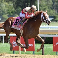 Antiquarian wins a spill-marred Jockey Club Gold Cup