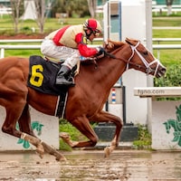 Antiquarian (Photo by Hodges Photography)