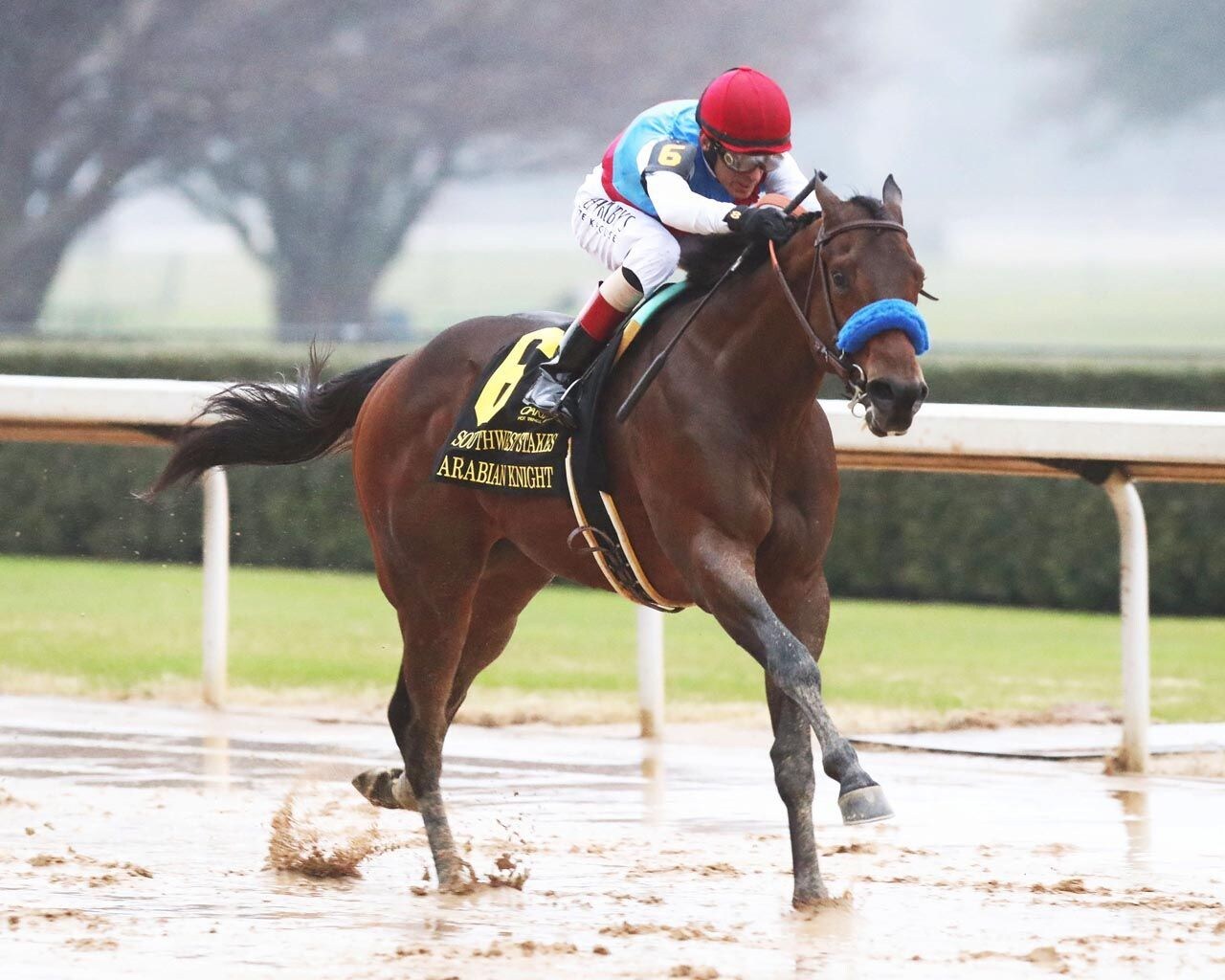 Arabian Knight winning the Southwest S. (G3) at Oaklawn Park