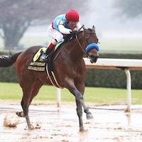 Arabian Knight winning the Southwest S. (G3) at Oaklawn Park