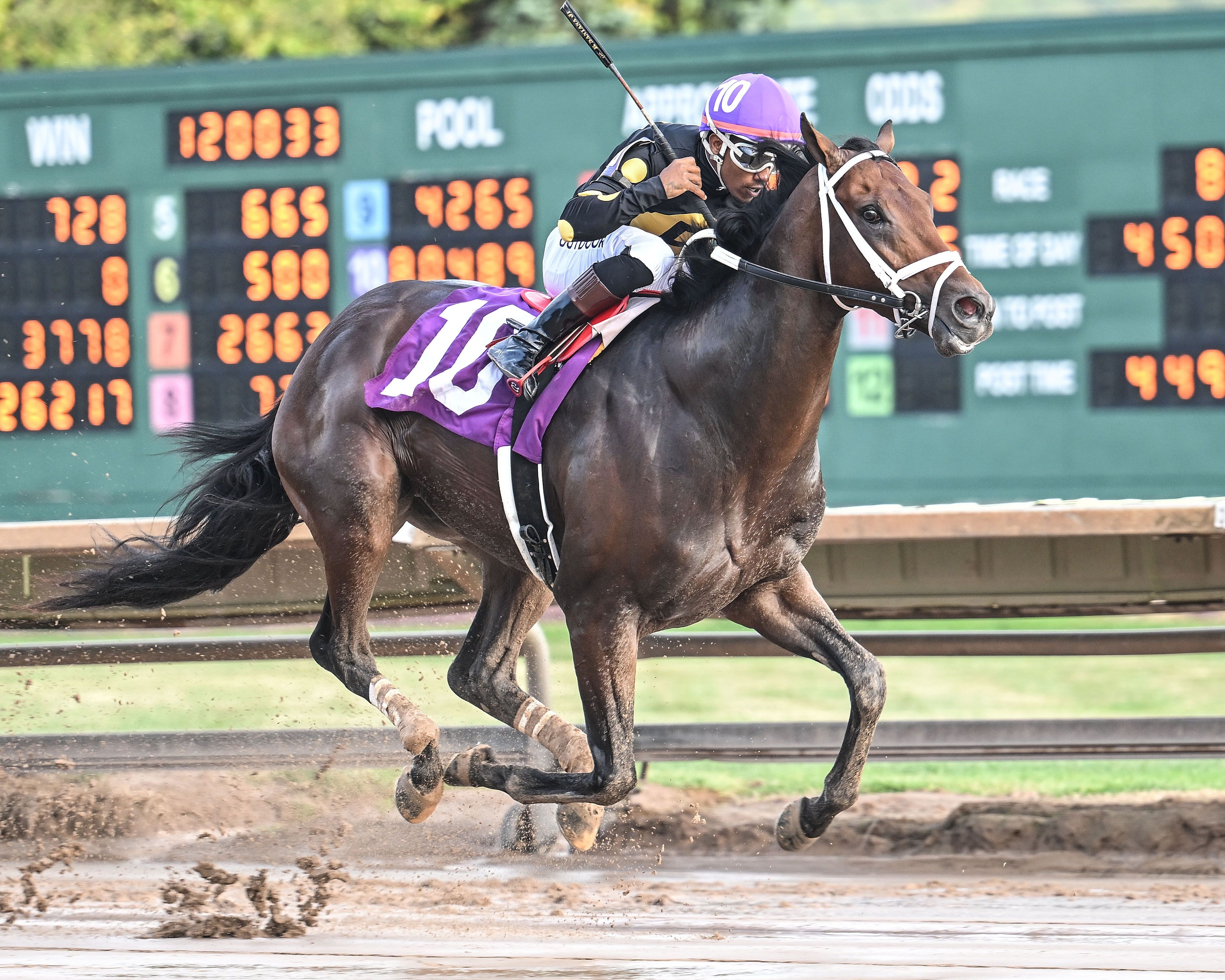 Arctic Beast wins the New York Breeders' Futurity at Finger Lakes.