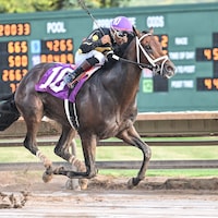 Arctic Beast wins the New York Breeders' Futurity at Finger Lakes.