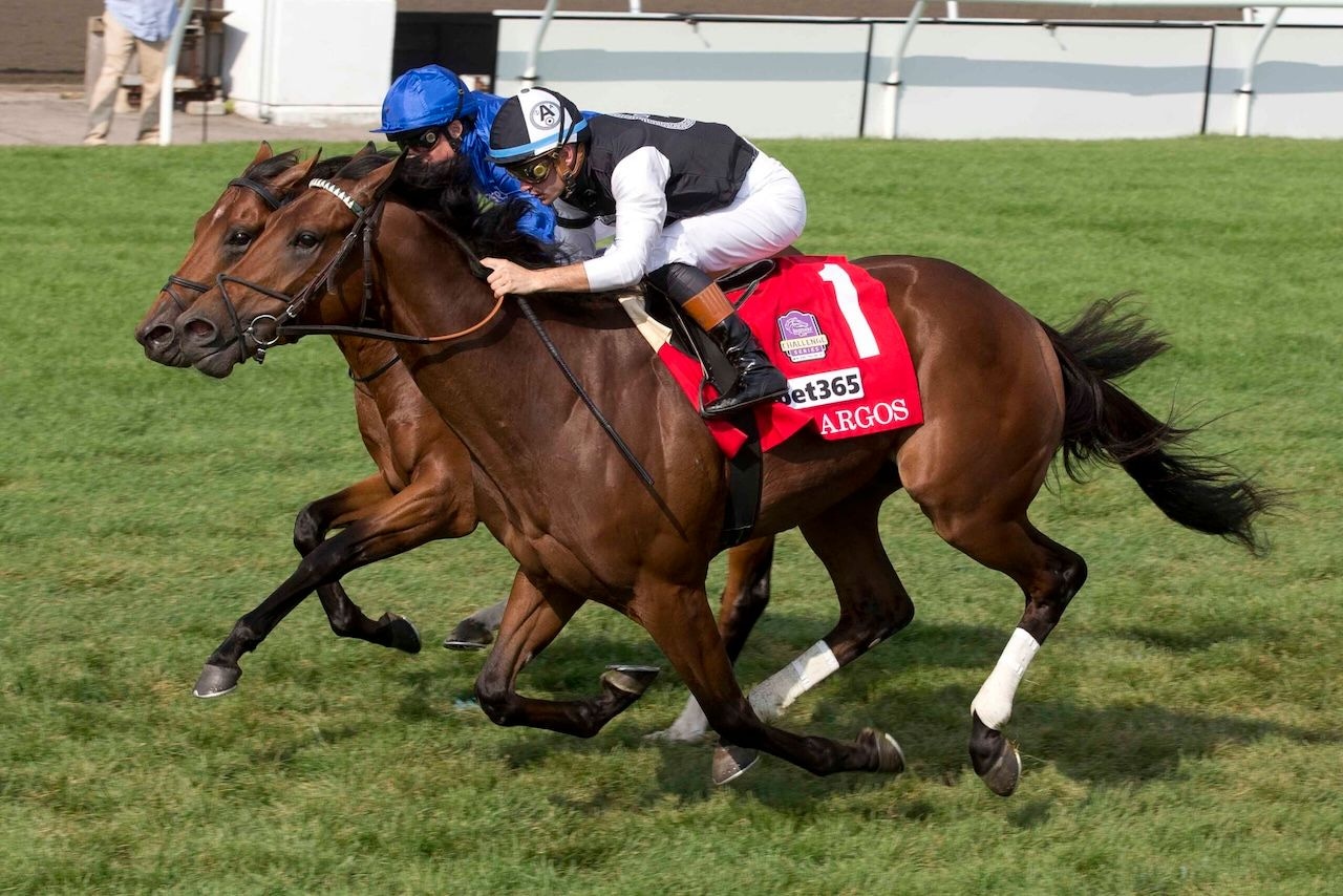 Argos wins the Summer Stakes at Woodbine.