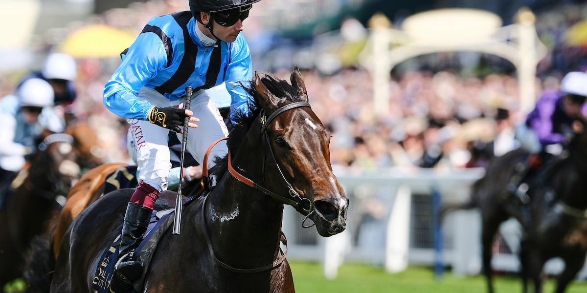 Asfoora wins the 2024 King Charles III